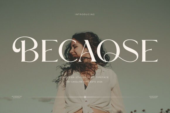 Elevate Your Visual Storytelling with Becaose